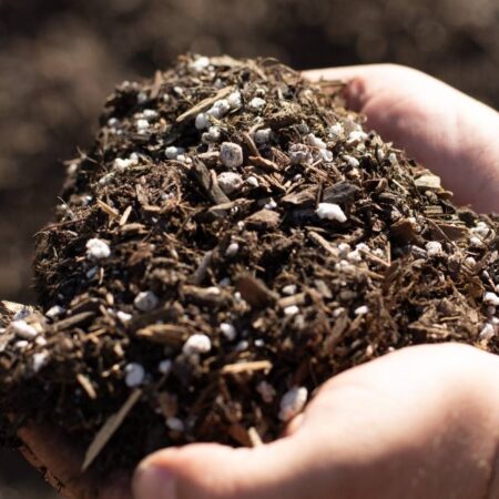 Coco Pharmasoil