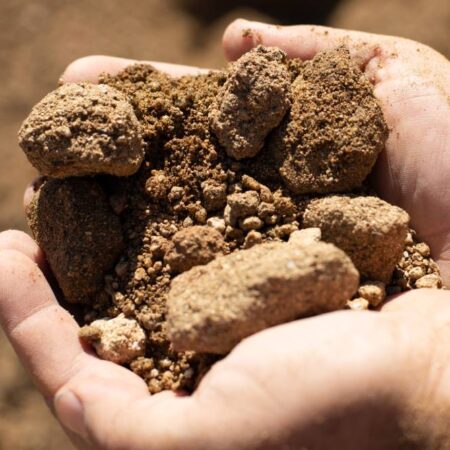 Fill Dirt