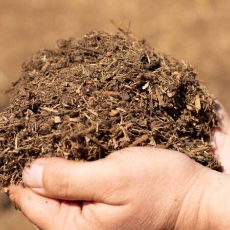 Nitrolized Fir Shavings