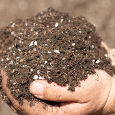 Pharma soil