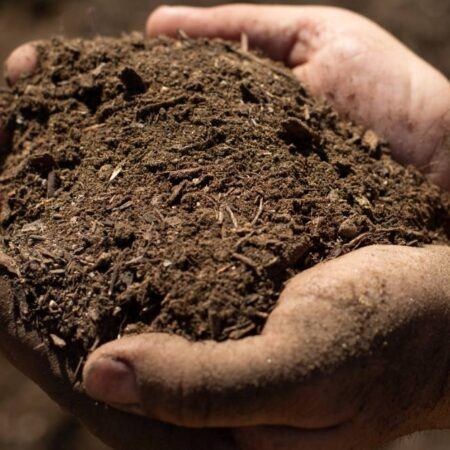 Potting Soil