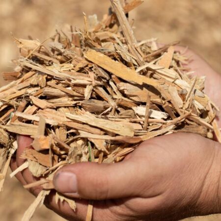 Premium Wood Chips