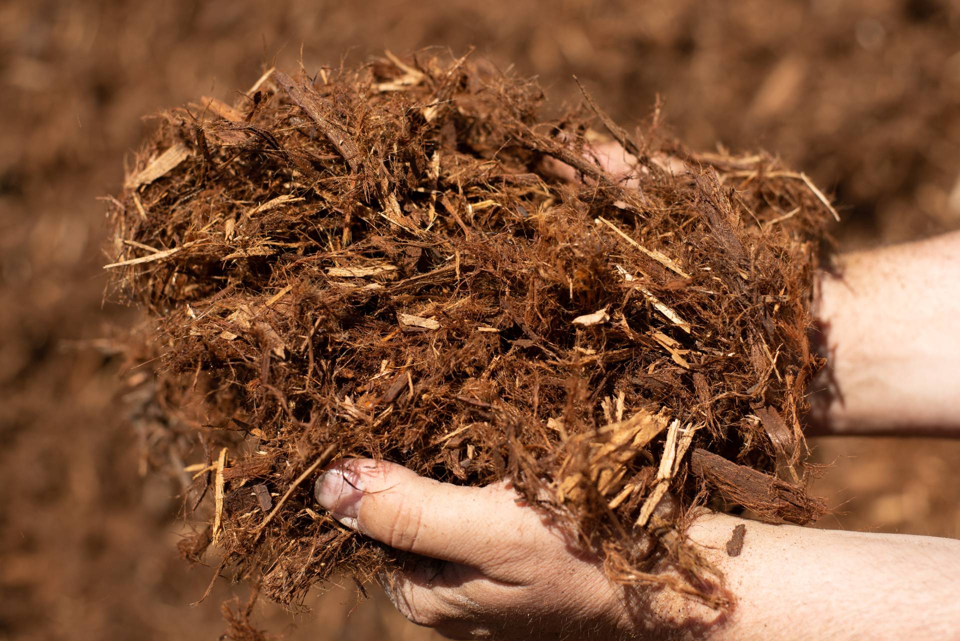 Wood Chips - Greco's Landscaping supplies