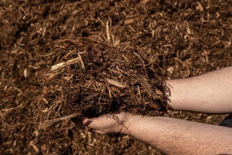 Red Wood (Gorilla Hair) SoCal Mulch
