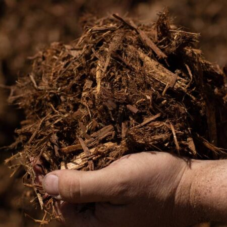 Shredded Cedar