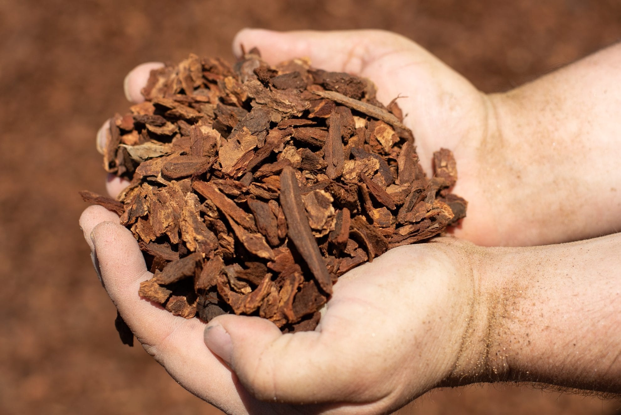 Supreme Walk On SoCal Mulch