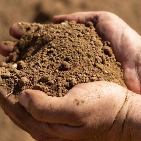 Top Soil