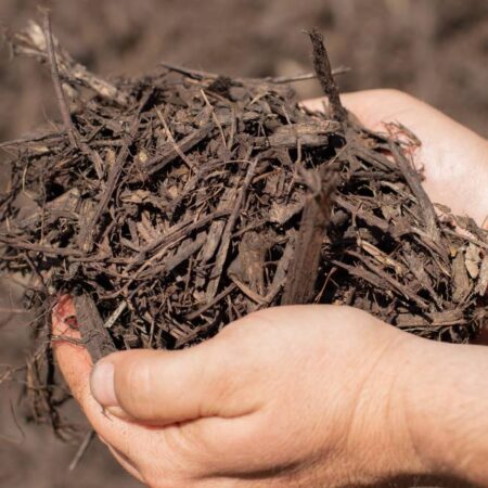 Brown Shredded Mulch