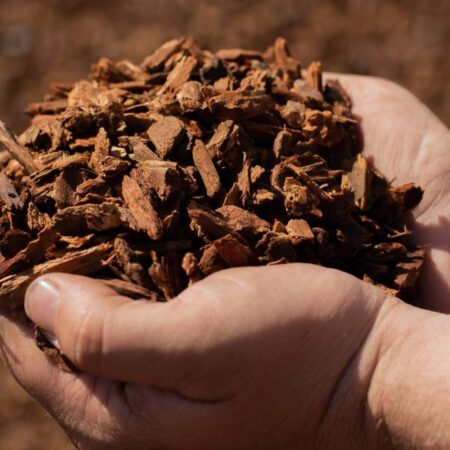 Mini Bark