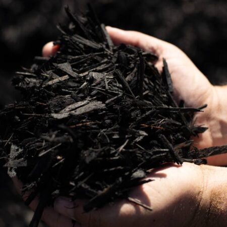 Premium Black Wood Chips