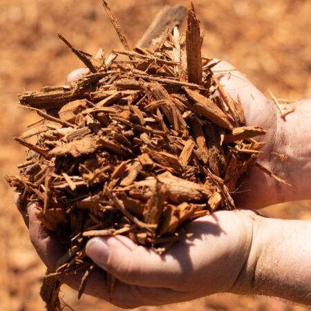 Premium Gold Wood Chips
