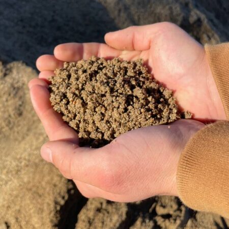 Arena_Sand