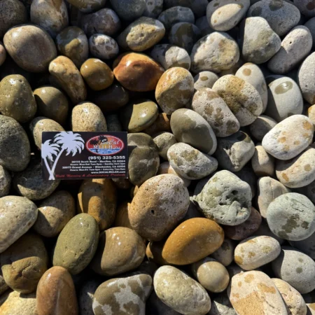 Beach Buff 1-2"