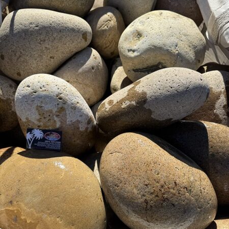 Beach Buff 12–18"