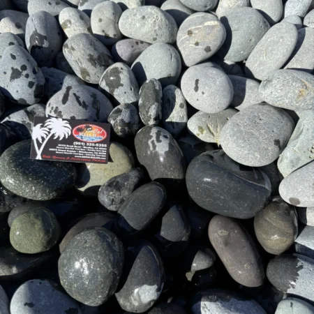Beach Black 2-3"