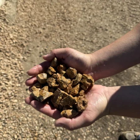 3/4" Bark Brown