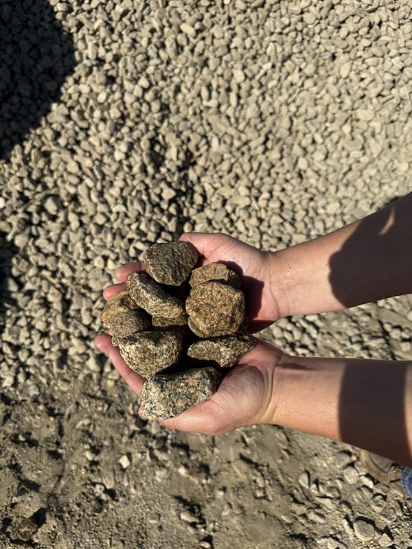 Sierra Cobble 1-2"