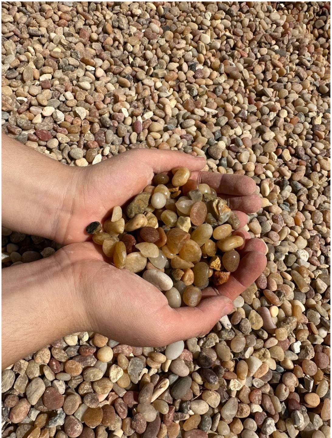 1/2 Jelly Bean Pebble