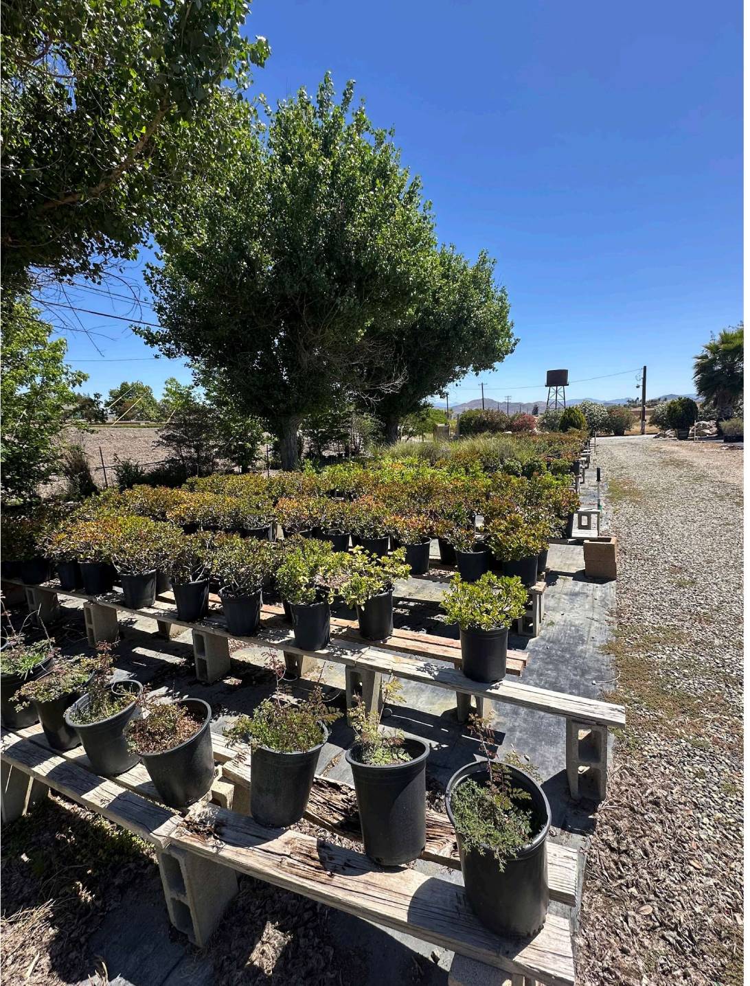 Nursery